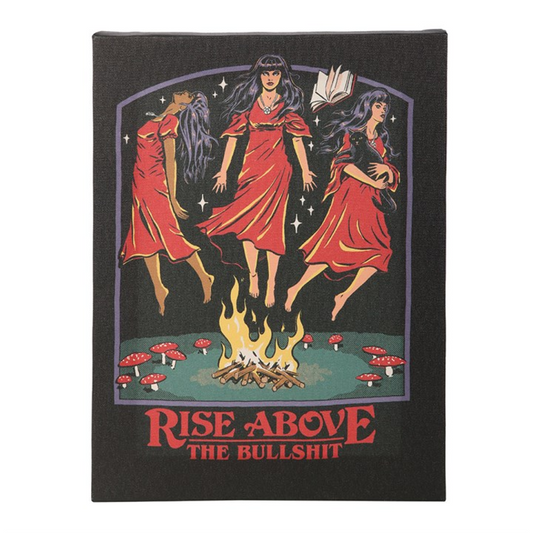 19x25cm Rise Above the Bullshit Canvas Plaque by Steven Rhodes