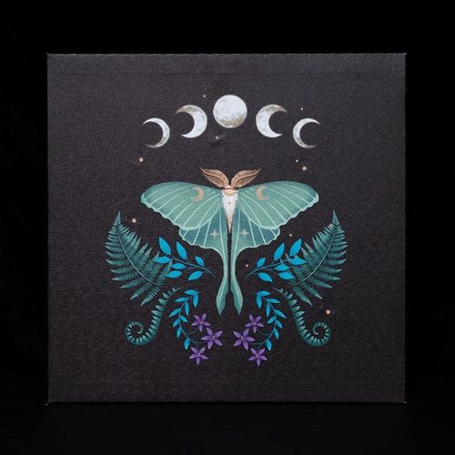 Luna Moth Light Up Canvas Plaque