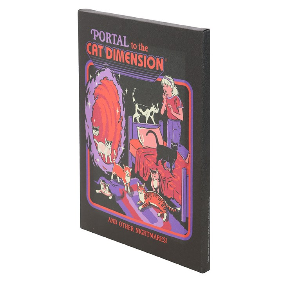 19x25cm The Cat Dimension Canvas Plaque by Steven Rhodes